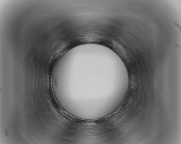 X0000097290210200802151106