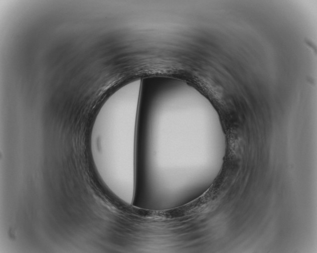 X0000097290211200802151106
