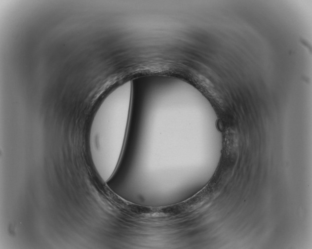 X0000097290212200802151106