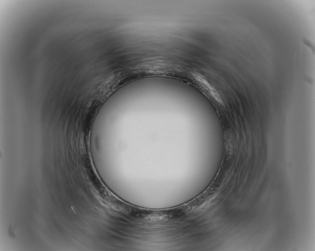 X0000097290213200802151106
