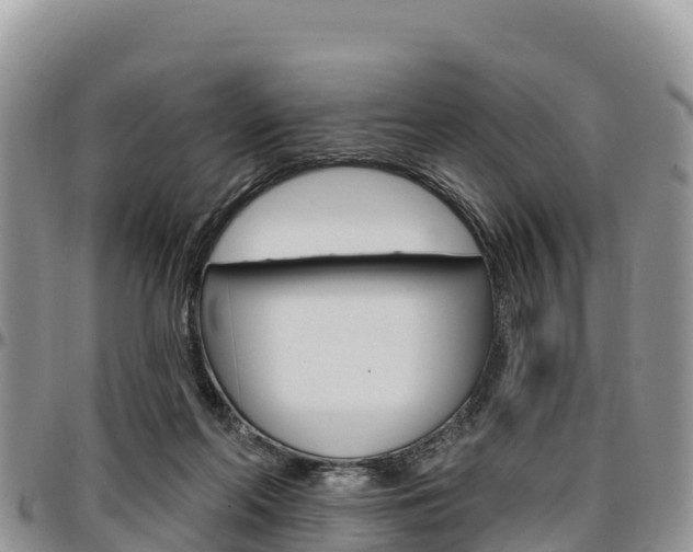 X0000097290214200802151106