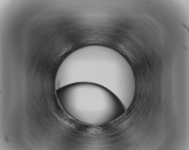 X0000097290215200802151106