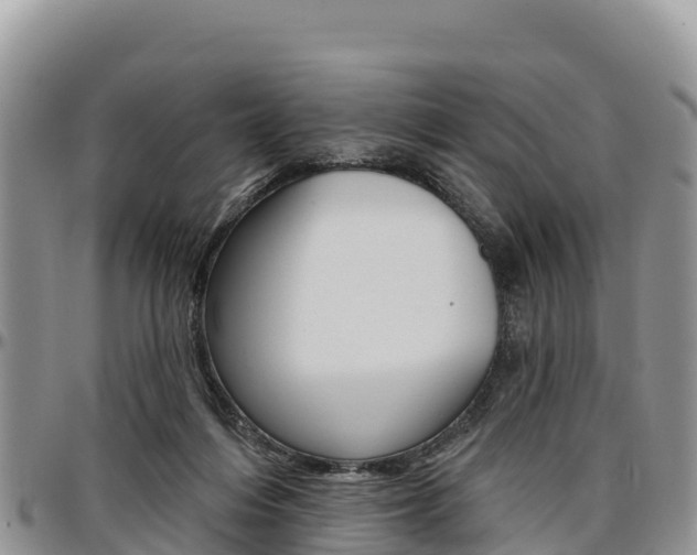 X0000097290216200802151106