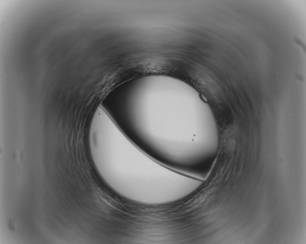 X0000097290217200802151106