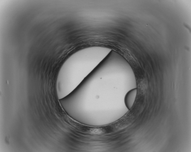 X0000097290218200802151106