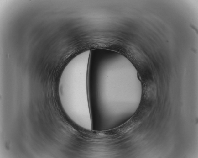 X0000097290219200802151106