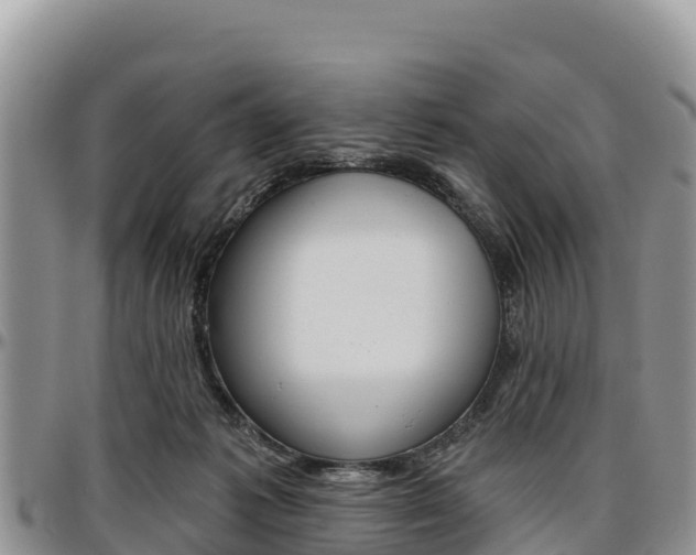 X0000097290221200802151106