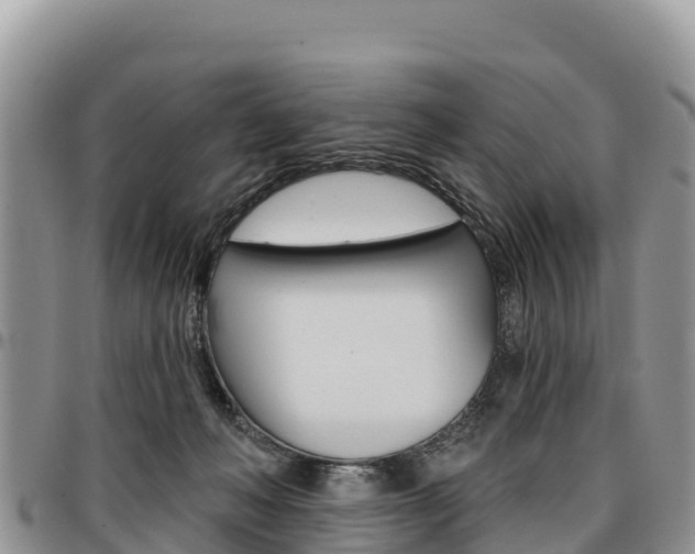 X0000097290222200802151106
