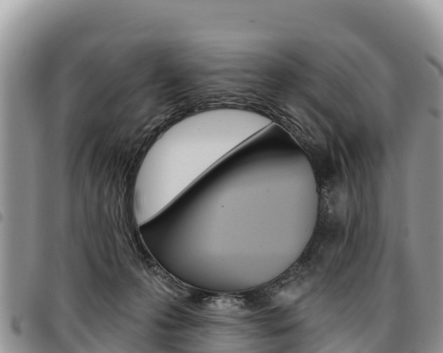 X0000097290223200802151106