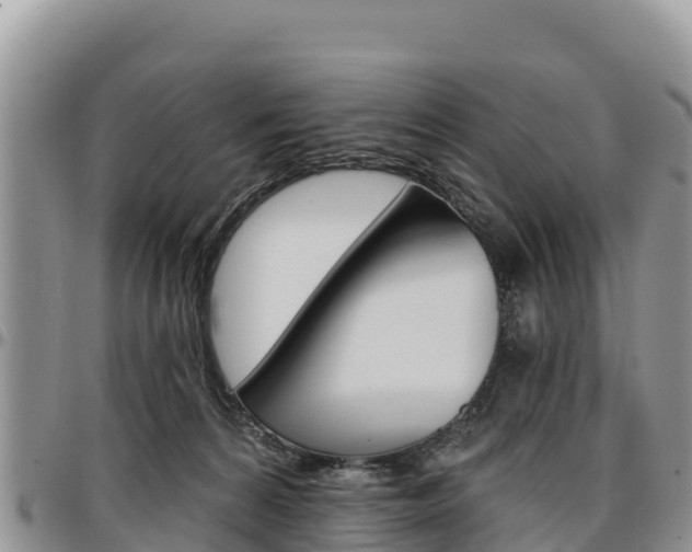 X0000097290224200802151106