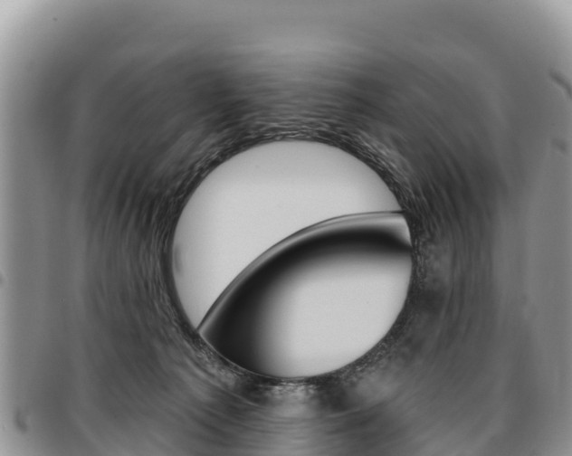 X0000097290225200802151106