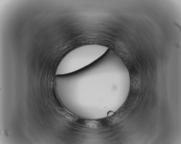 X0000097290226200802151106