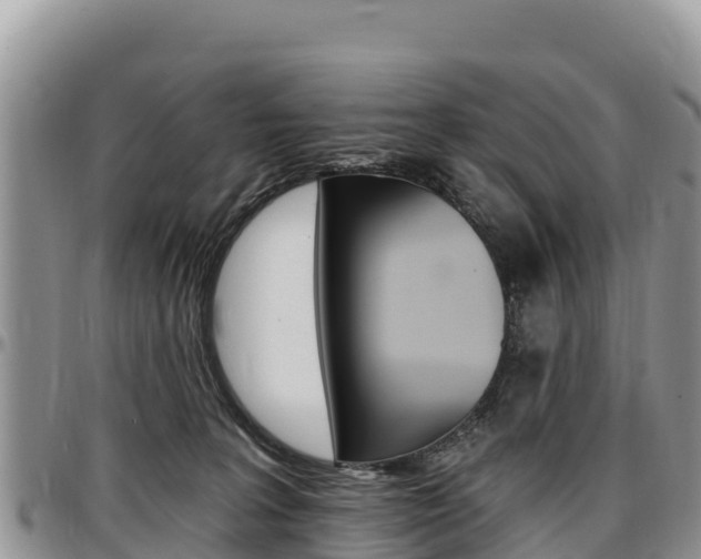 X0000097290227200802151106