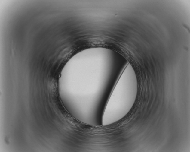 X0000097290228200802151106