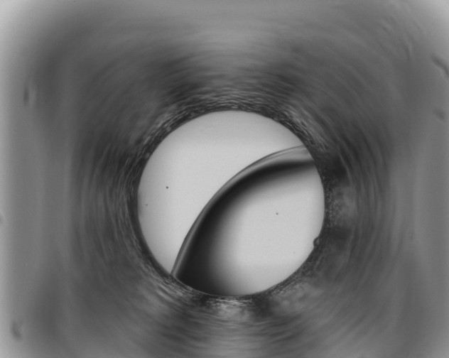X0000097290229200802151106