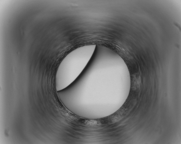 X0000097290230200802151106