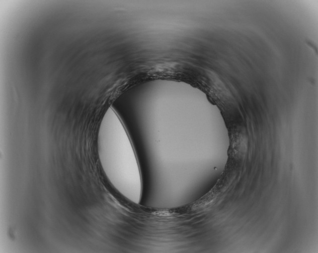 X0000097290231200802151106