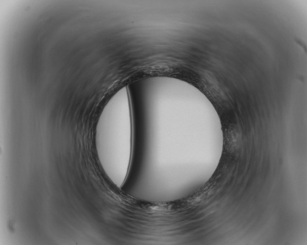 X0000097290232200802151106