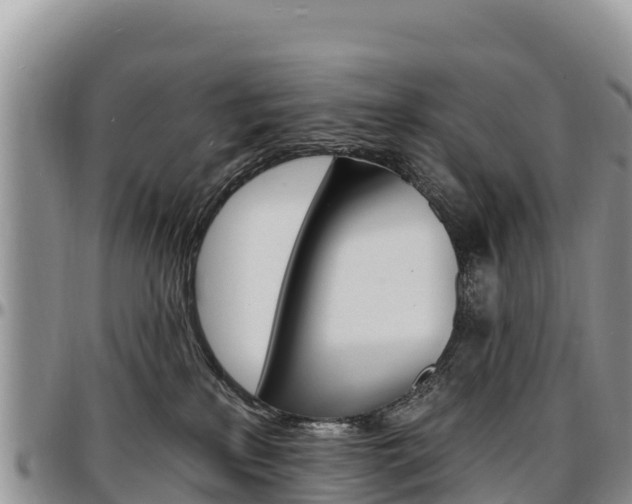 X0000097290233200802151106