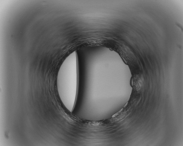 X0000097290235200802151106