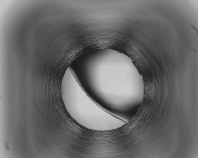 X0000097290237200802151106