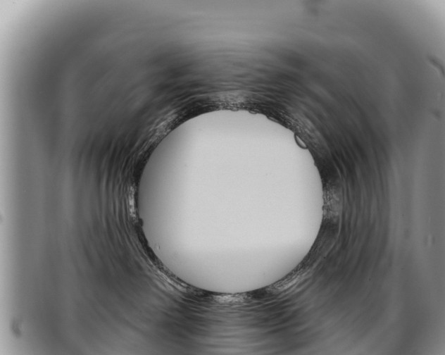 X0000097290238200802151106