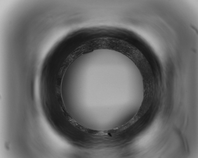 X0000097290239200802151106