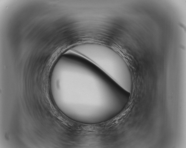 X0000097290241200802151105