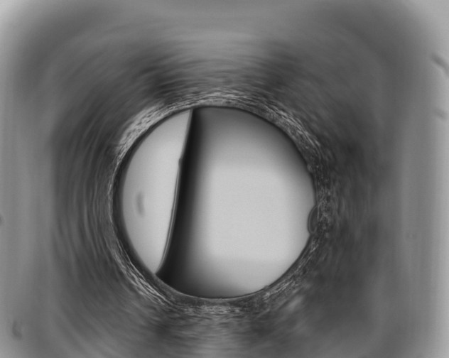 X0000097290242200802151105