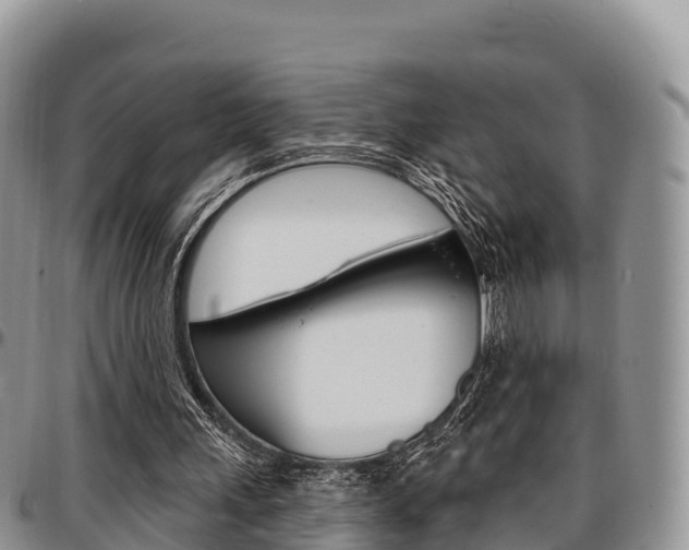 X0000097290243200802151105
