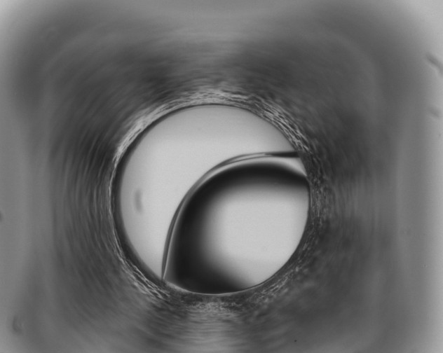 X0000097290244200802151105