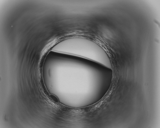 X0000097290245200802151105