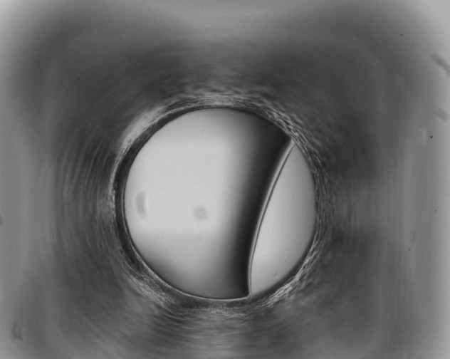 X0000097290246200802151105
