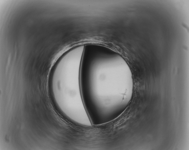 X0000097290248200802151105