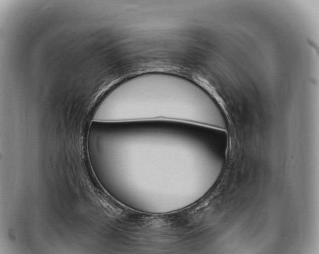 X0000097290249200802151105