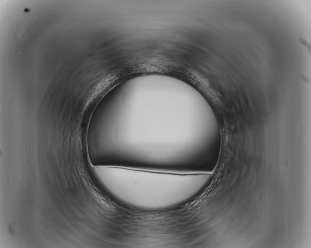 X0000097290250200802151105