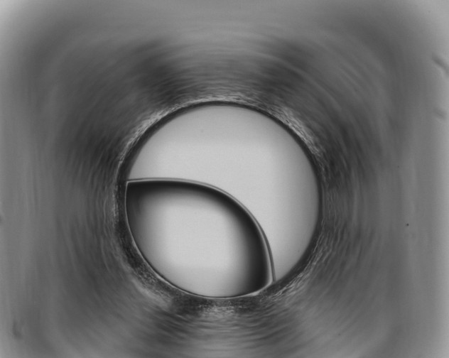X0000097290252200802151105
