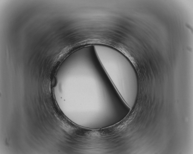 X0000097290253200802151105