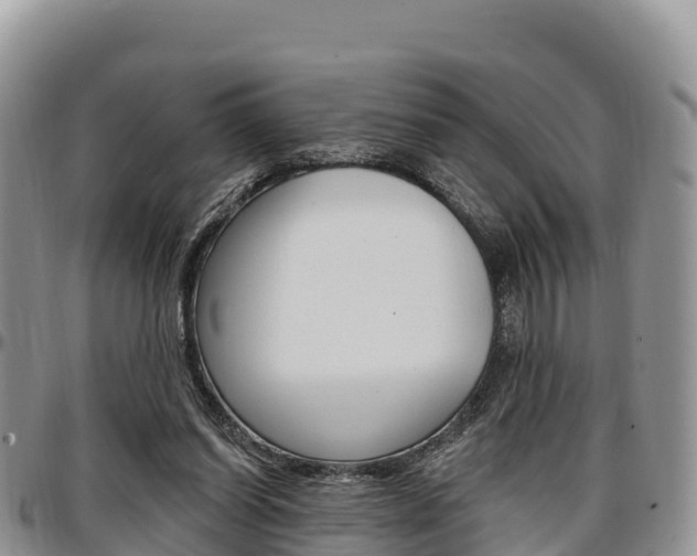 X0000097290254200802151105