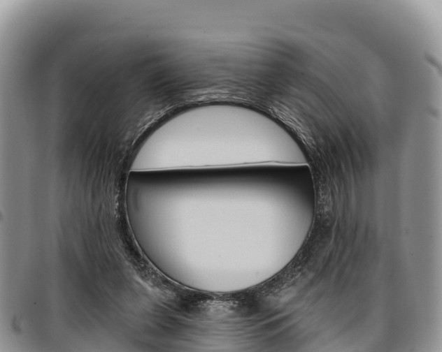 X0000097290255200802151105