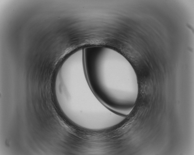 X0000097290256200802151105