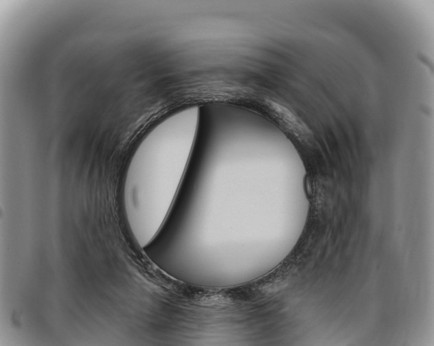 X0000097290258200802151105