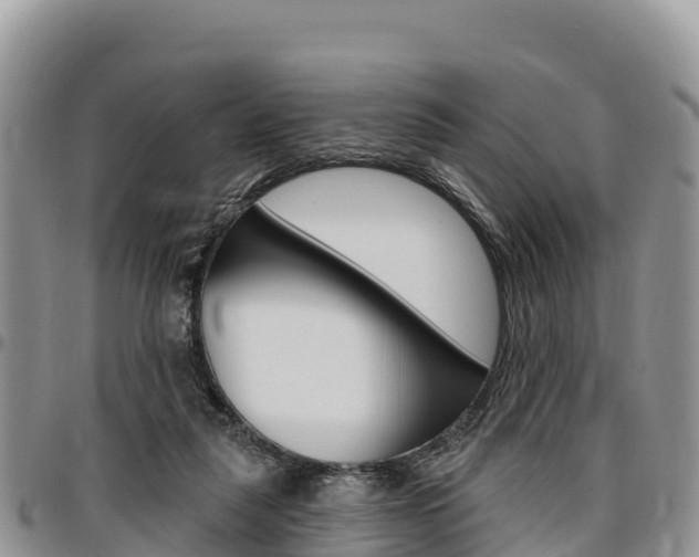 X0000097290259200802151105