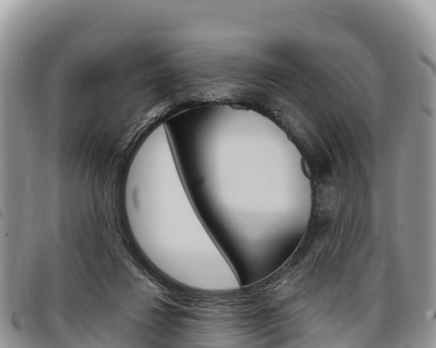 X0000097290260200802151105