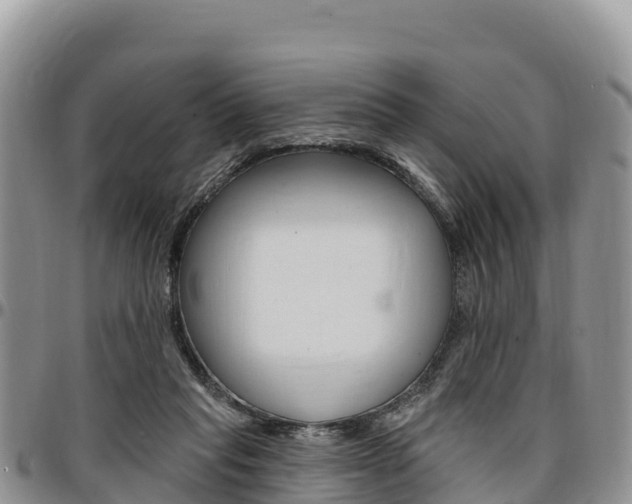 X0000097290261200802151105