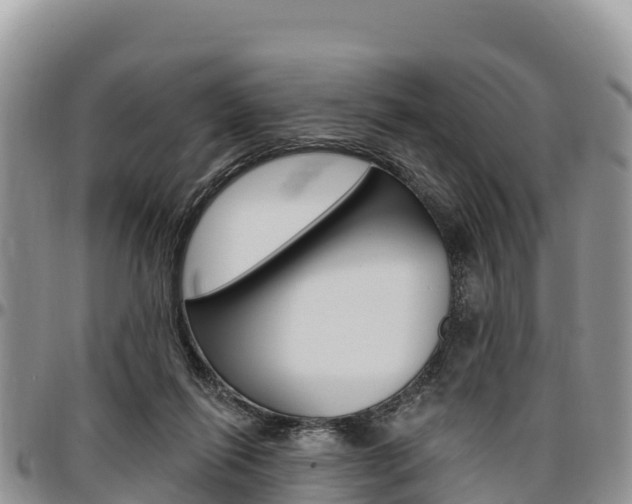X0000097290262200802151105