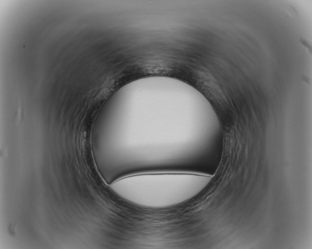 X0000097290263200802151105