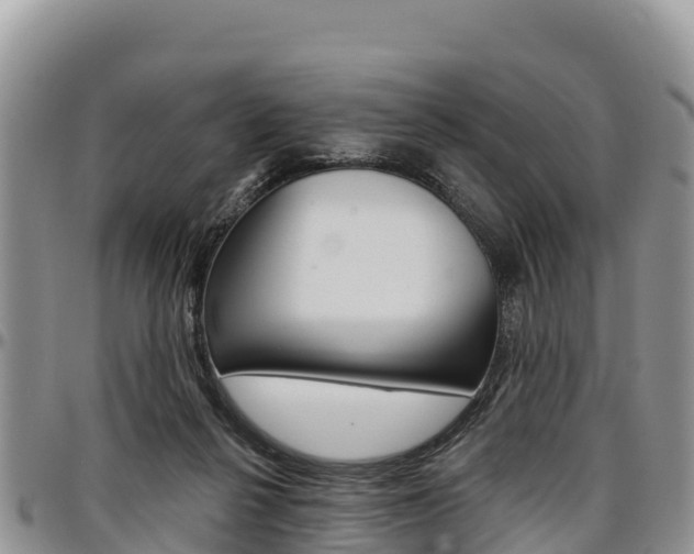 X0000097290264200802151105