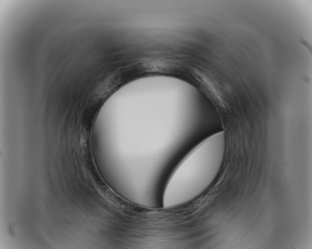 X0000097290265200802151105