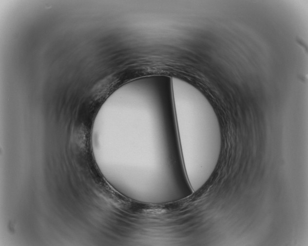 X0000097290266200802151105